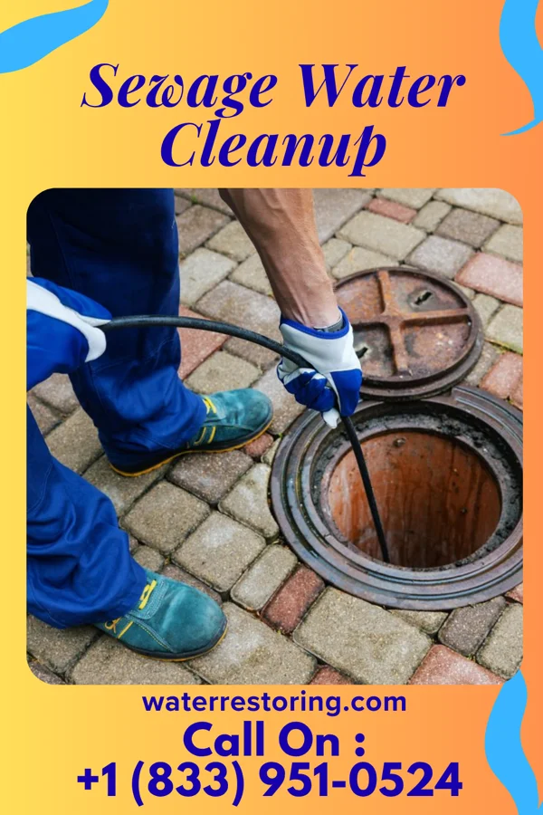 Sewage Water Cleanup in Vienna, MO